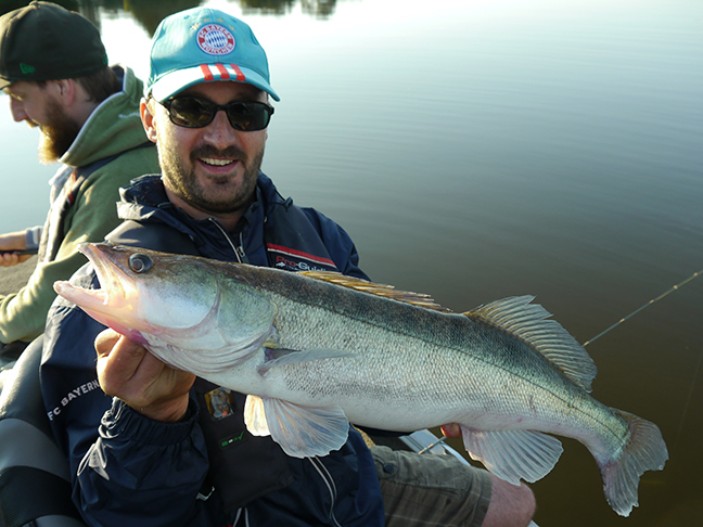 Pro-Guiding-Zander16057