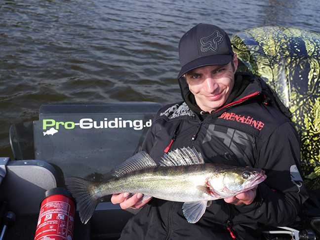 Pro-Guiding-Zander16058