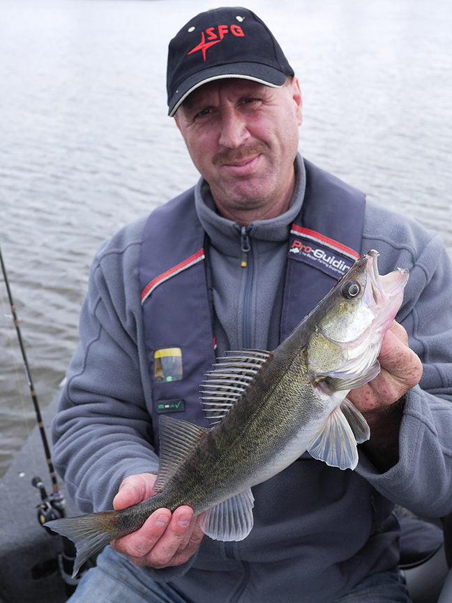 Pro-Guiding-Zander16060