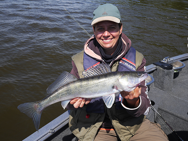 Pro-Guiding-Zander16077