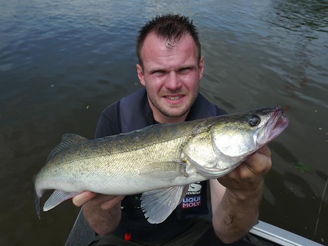 Pro-Guiding-Zander16083