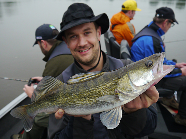Pro-Guiding-Zander16085