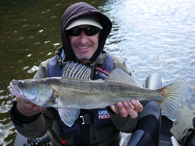 Pro-Guiding-Zander16093