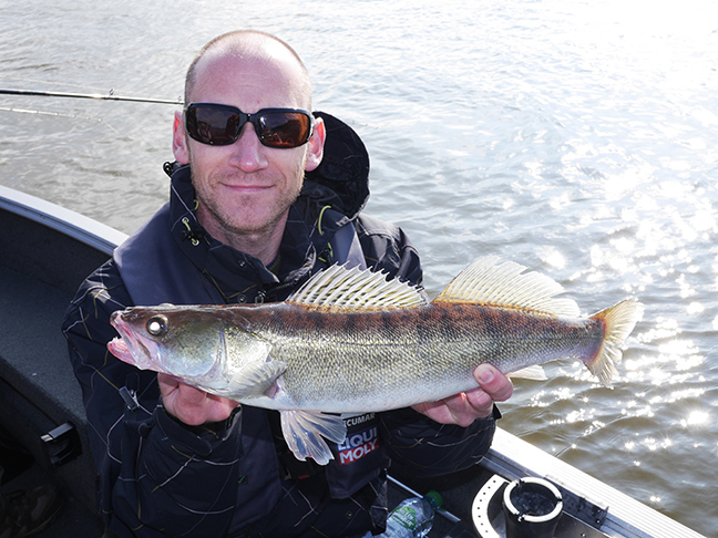 Pro-Guiding-Zander16094