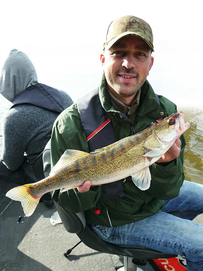 Pro-Guiding-Zander16110