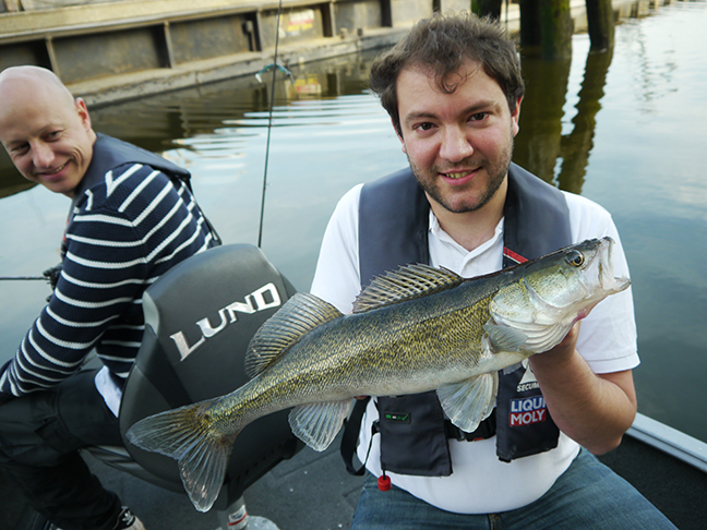 Pro-Guiding-Zander16164