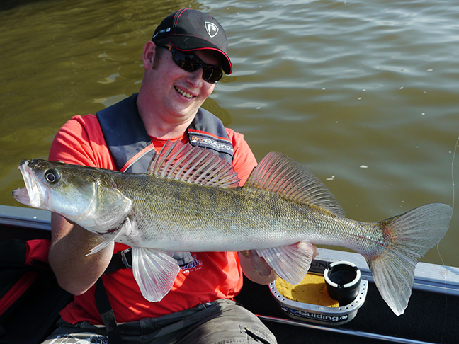 Pro-Guiding-Zander16170