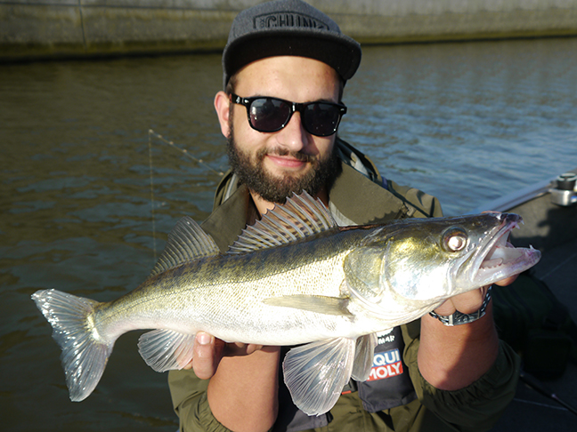 Pro-Guiding-Zander16171