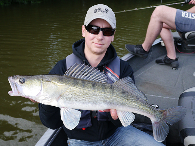 Pro-Guiding-Zander16173