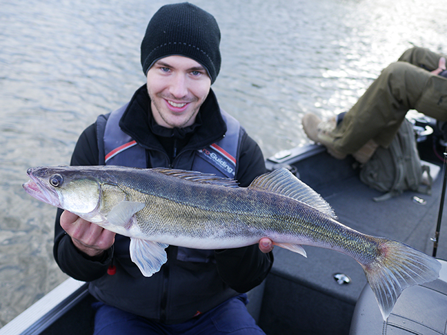 Pro-Guiding-Zander16129