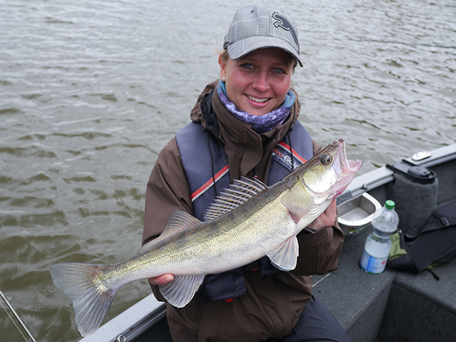 Pro-Guiding-Zander16106