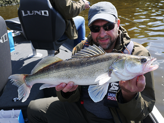 Pro-Guiding-Zander16113
