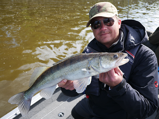 Pro-Guiding-Zander16114