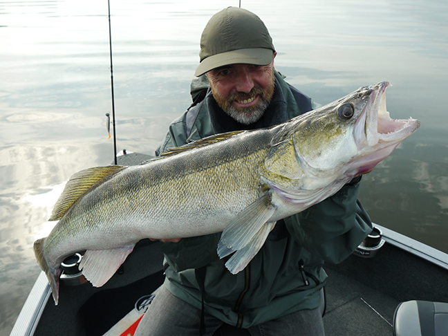 Pro-Guiding-Zander16124