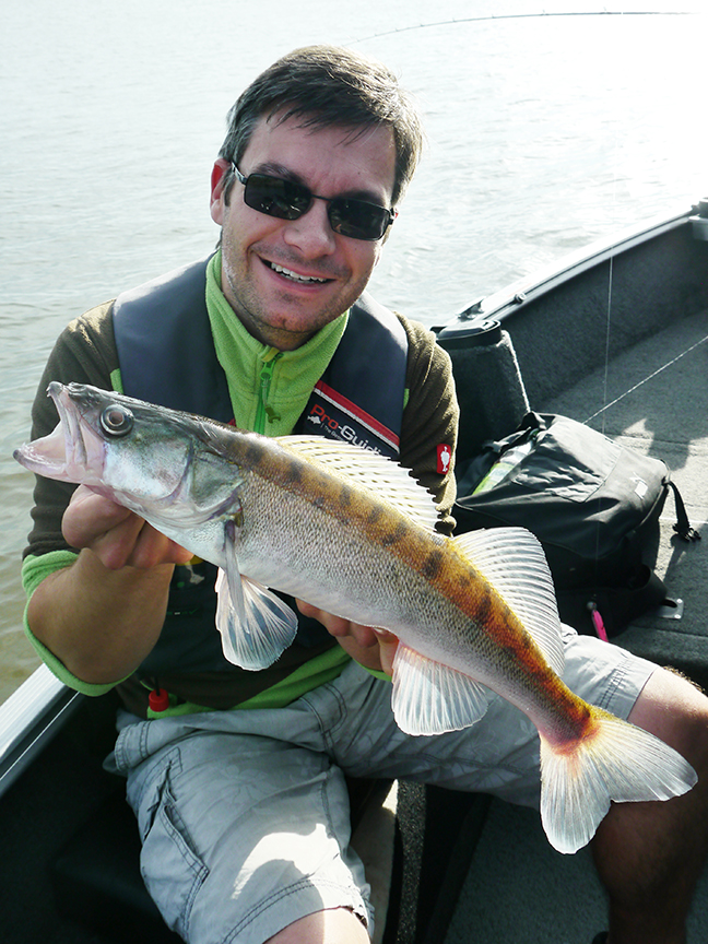 pro-guiding-zander16136