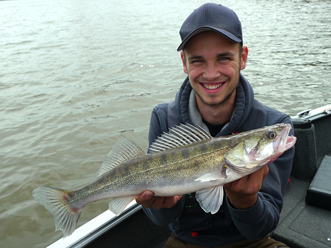 pro-guiding-zander16142