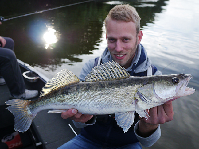 Pro-Guiding-Zander16153