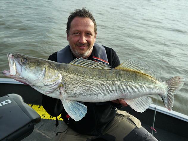 Pro-Guiding-Zander16154