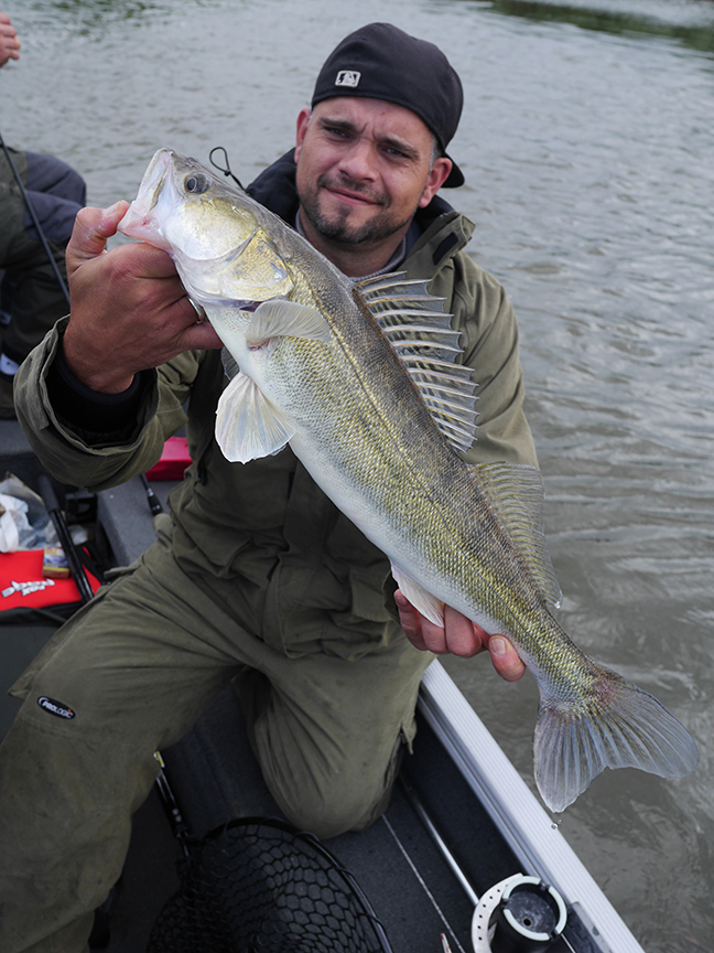 Pro-Guiding-Zander16156