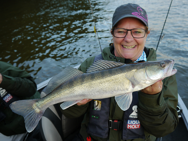 pro-guiding-zander16189