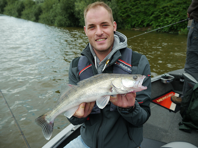 pro-guiding-zander16193
