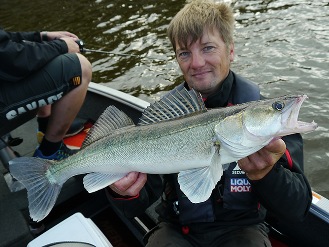 pro-guiding-zander16194