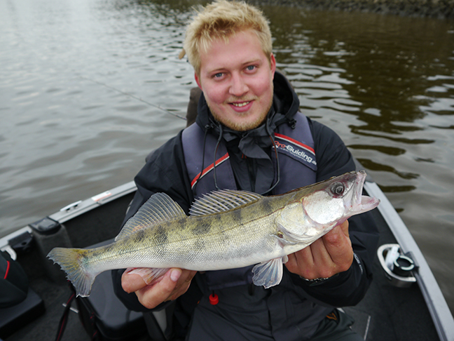 pro-guiding-zander16196
