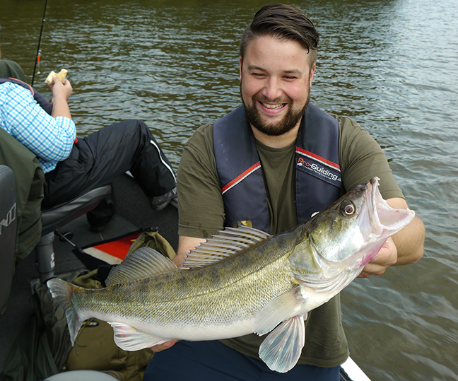 pro-guiding-zander16201