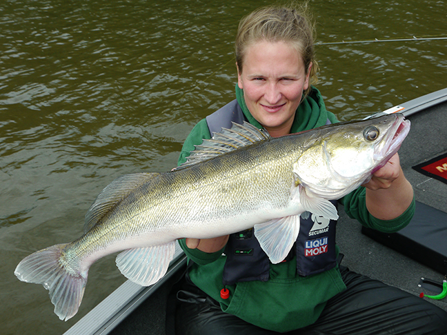 pro-guiding-zander16202