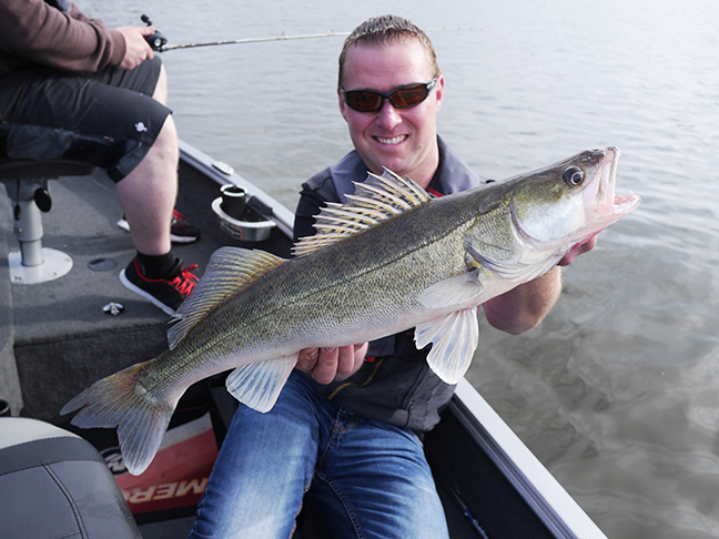 pro-guiding-zander16207