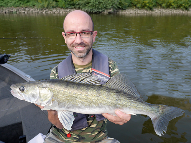 pro-guiding-zander16218