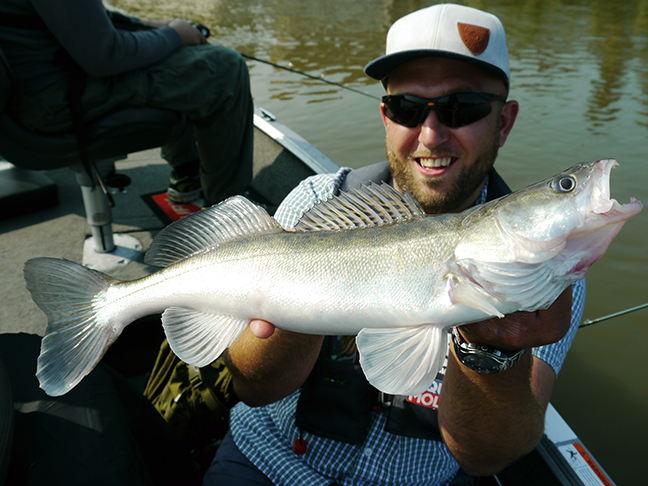 pro-guiding-zander16221
