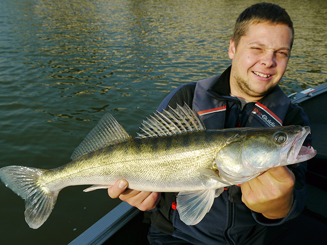 pro-guiding-zander16222