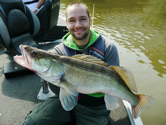 pro-guiding-zander16224