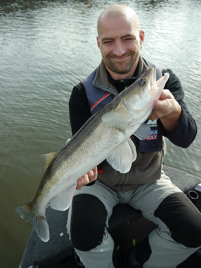 pro-guiding-zander16232