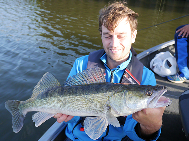 pro-guiding-zander16245