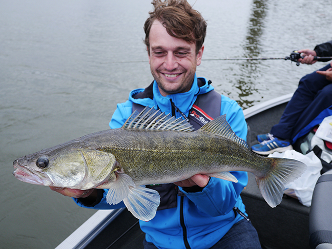 pro-guiding-zander16247