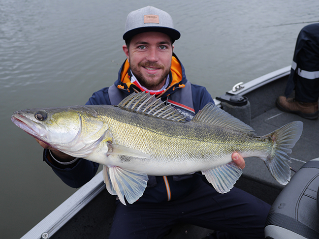 pro-guiding-zander16250