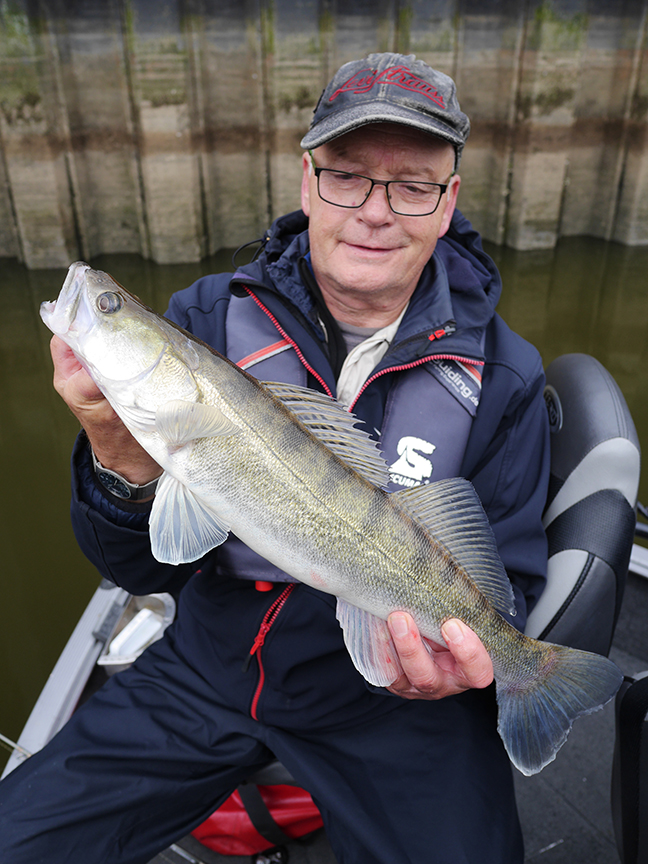 pro-guiding-zander16251