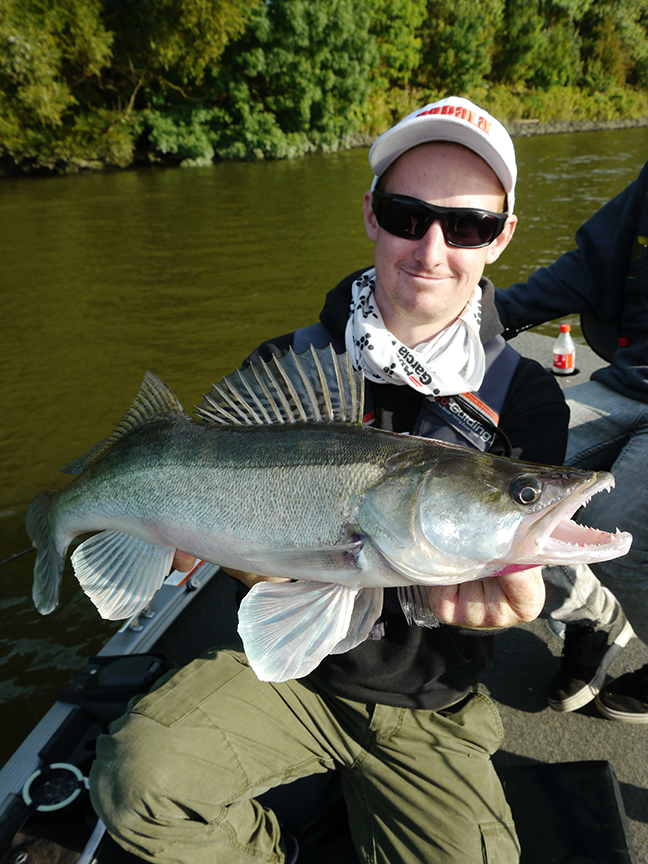 pro-guiding-zander16258