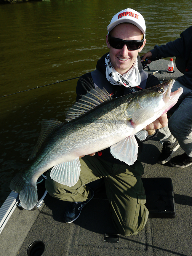 pro-guiding-zander16259