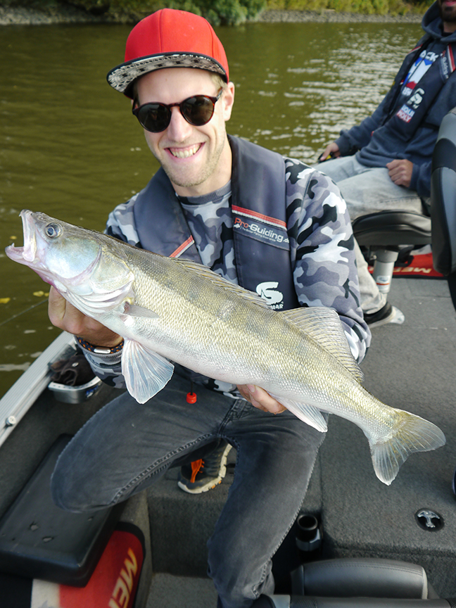 pro-guiding-zander16260