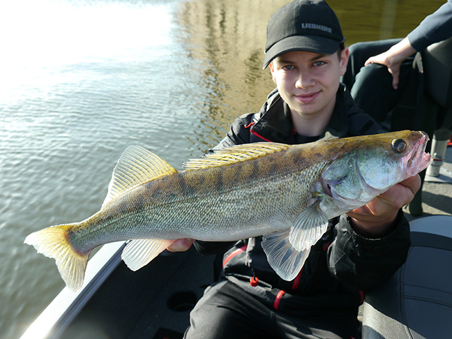 pro-guiding-zander16261