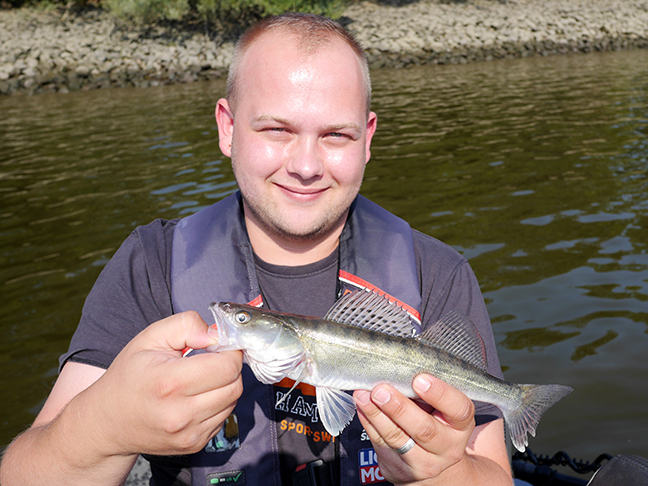pro-guiding-zander16286