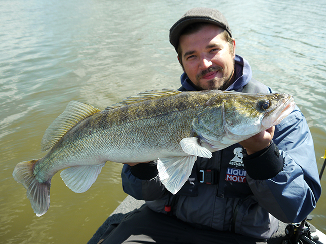 pro-guiding-zander16225