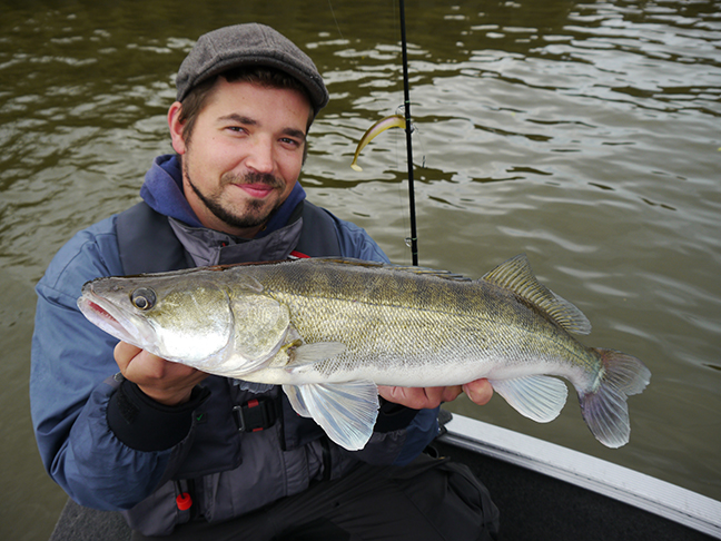 pro-guiding-zander16226