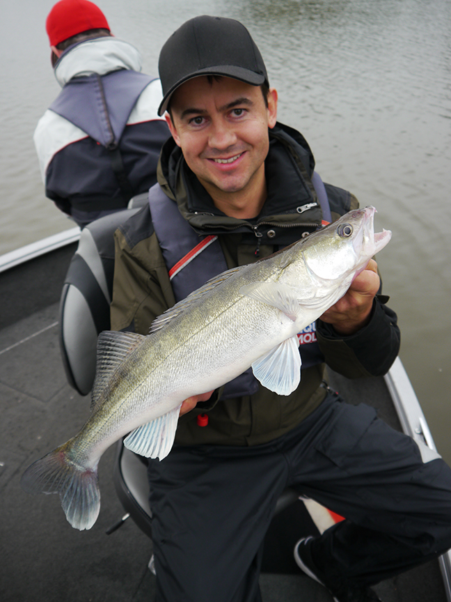 pro-guiding-zander16264