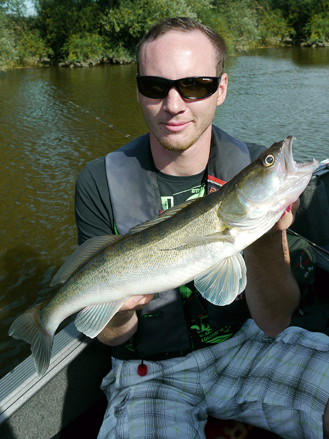pro-guiding-zander16265