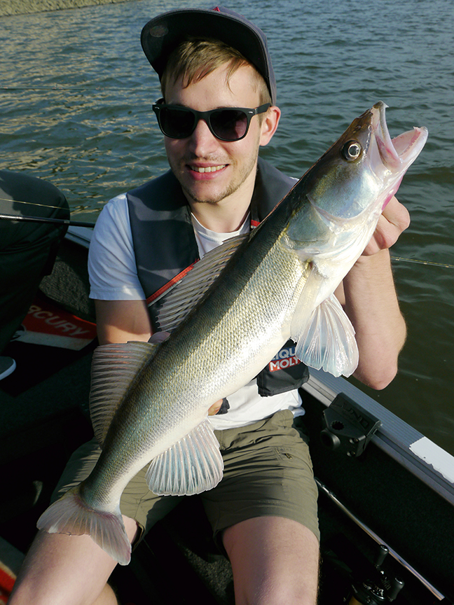 pro-guiding-zander16270