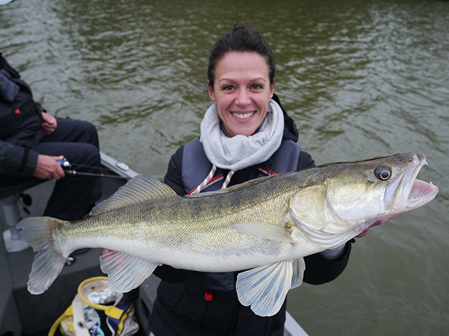 pro-guiding-zander16291